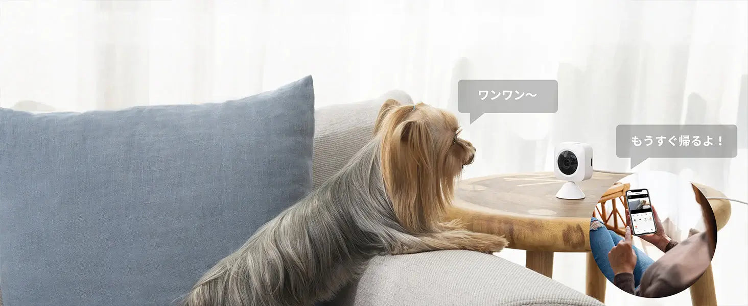 ペットカメラのおすすめ人気ランキング【一覧表で比較!】