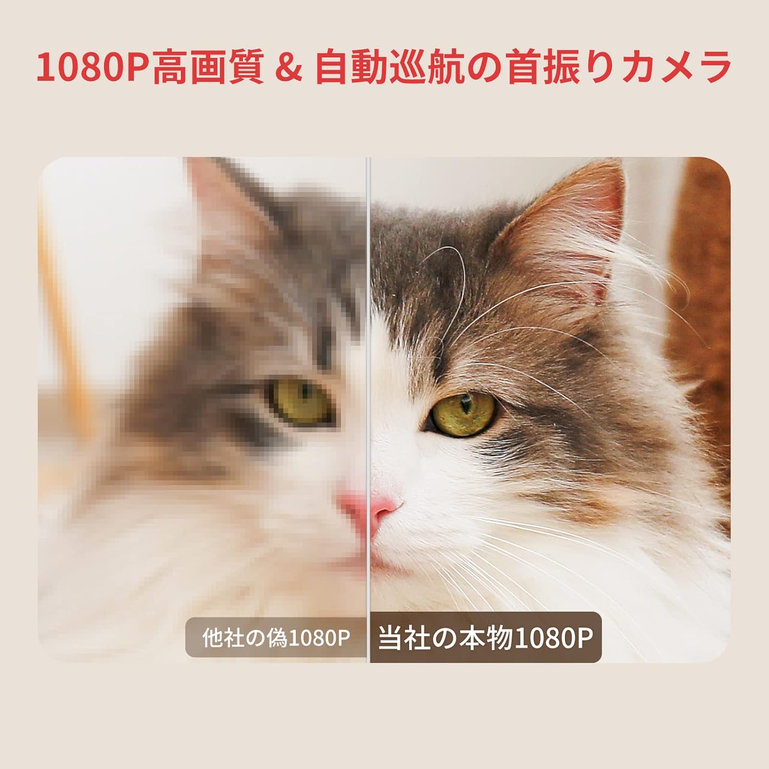 SwitchBot 見守りカメラ