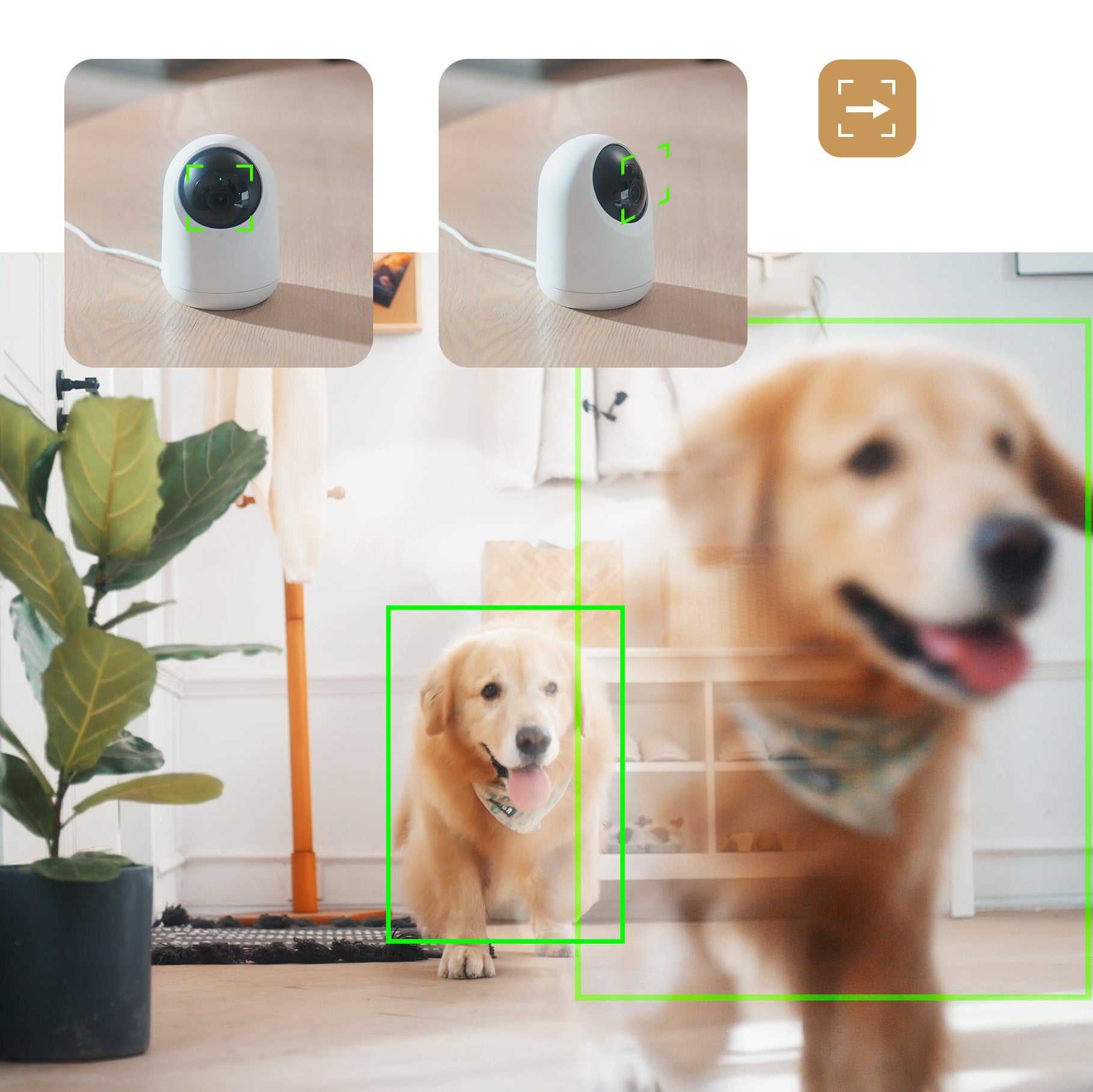 SwitchBot 見守りカメラ